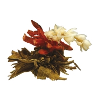 Зелений в'язаний чай Юй Лун Тао (Нефритовий персик дракона), Країна чаювання, 100г 